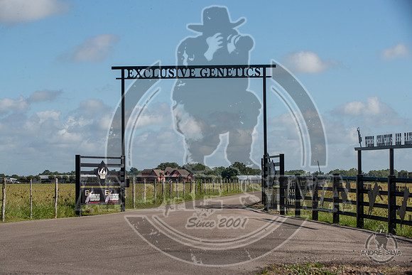 2020_July_18_ABBI_001