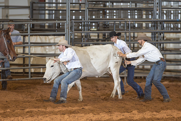 2024_Nov_02_Quin_McCoy_109