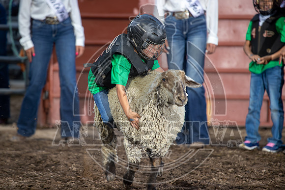 24_July_25_Eagle_CO_152