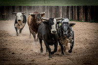 A7D_4951