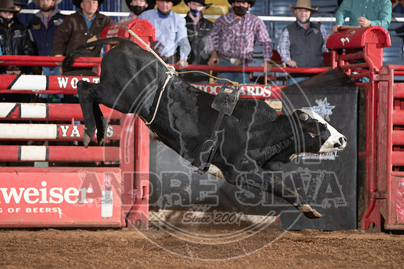2021_Jan_01_ABBI_159