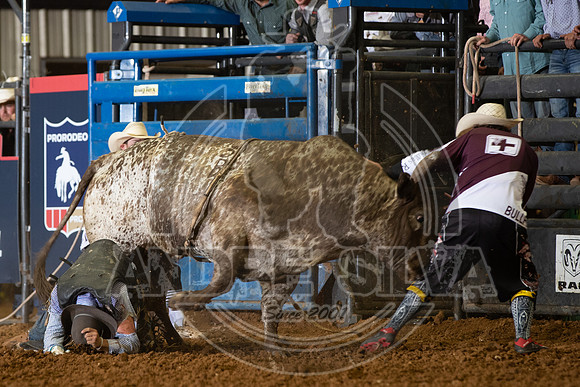 2020_06_06_Mesquite_BullRiding_Michael Richards_378_Silva