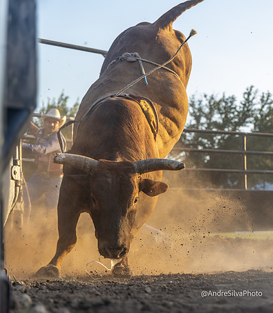 2024_Oct_08_Leme_L_425