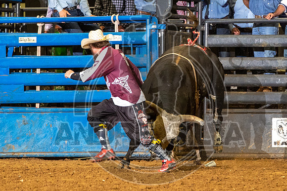 2020_08_01_Mesquite_Bull_Riding_Paulo_Lima_289