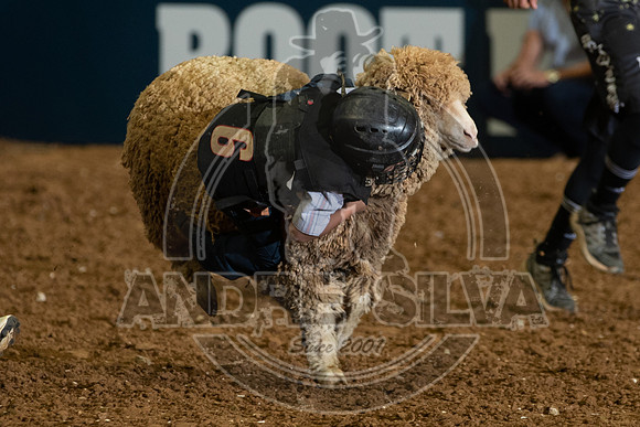 2021Mesquite_R01__340