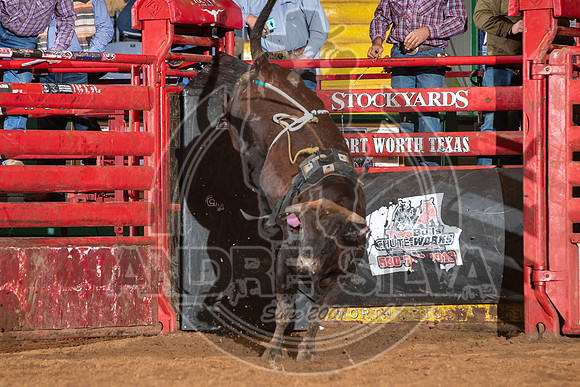2021_Jan_01_ABBI_155