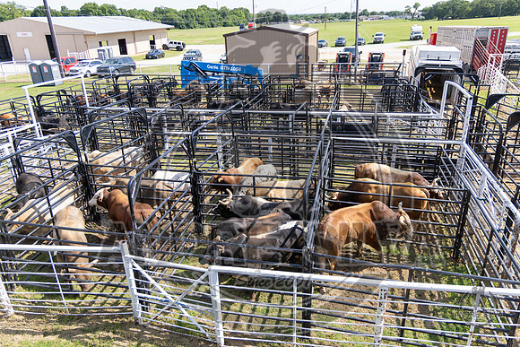 2025_May_31_Decatur_TX_860