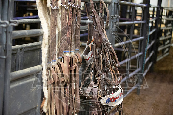 06_08_19_Mesquite_003_Silva