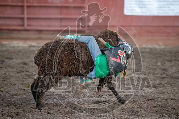 2024 Eagle_Mutton Busting_1628-AndreSilva