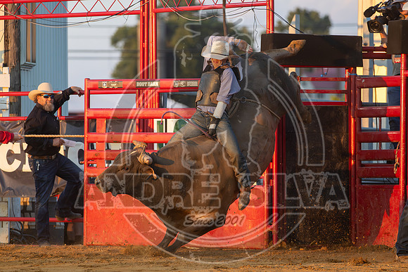 2024 Cowtown Rodeo_R1_XTREME BULLS_-Zack Oberholzer_Blue Duck__AndreSilva_285