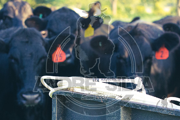 2021_Jun_18_Jeff_Cows_015