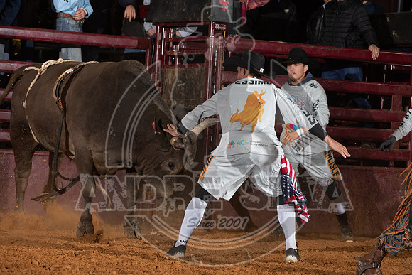 2021_Nov_13_Wall_Street_Ranch_088