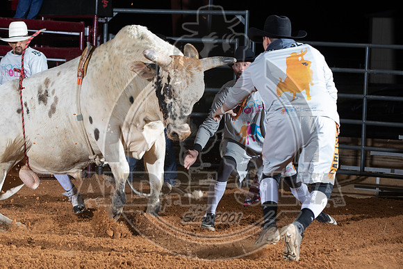 2021_Nov_13_Wall_Street_Ranch_045