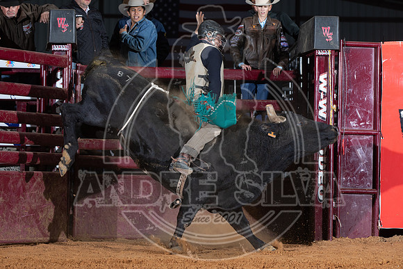 2021_Nov_13_Wall_Street_Ranch_047