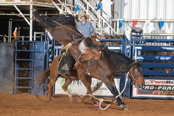 2024_Nov_02_Quin_McCoy_147