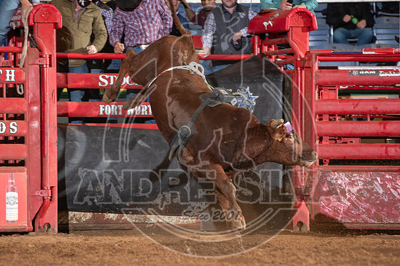 2021_Jan_01_ABBI_162
