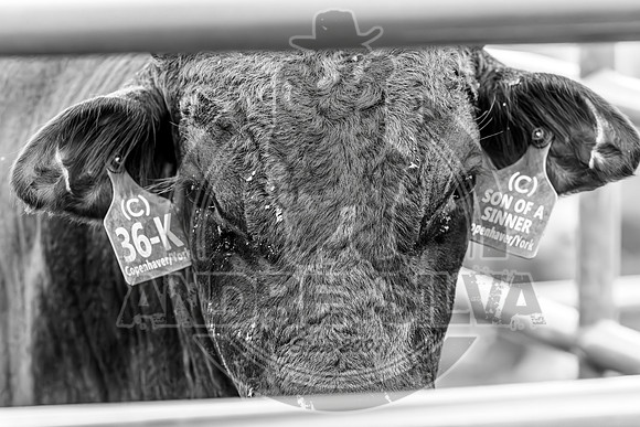 2025_Sep_16_Erick_OK_087