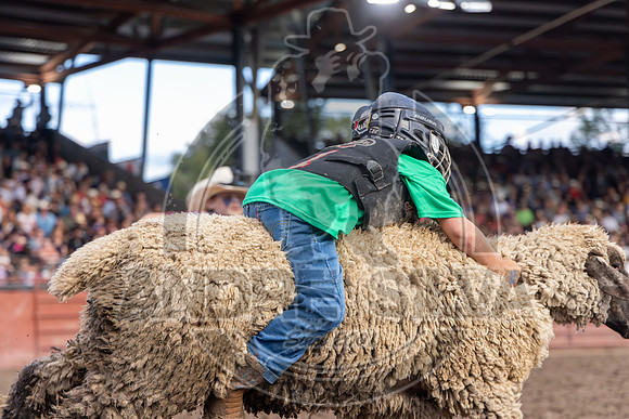 2024 Eagle_Mutton Busting__2602-AndreSilva