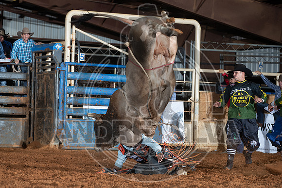 22_OCT_22_Tyler_435