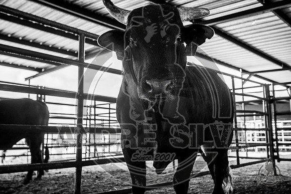2020_July_18_ABBI_025