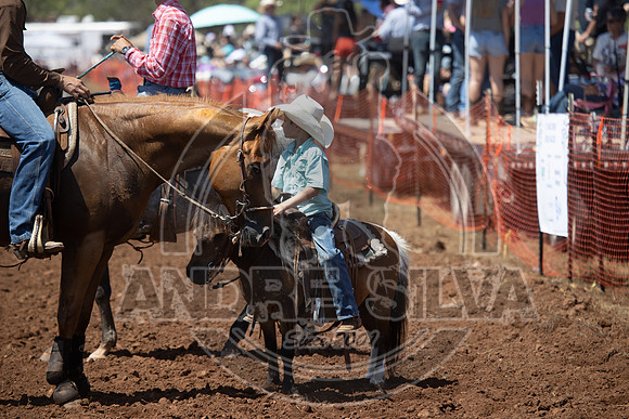 2024_July_06_Matched_Horse_Races_4094