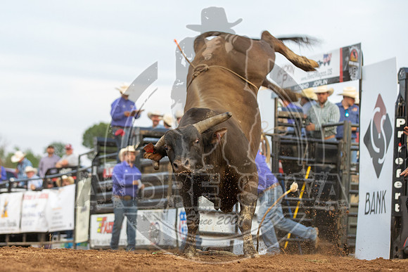 2021_May_08_PBR_Cassvile_TX_441
