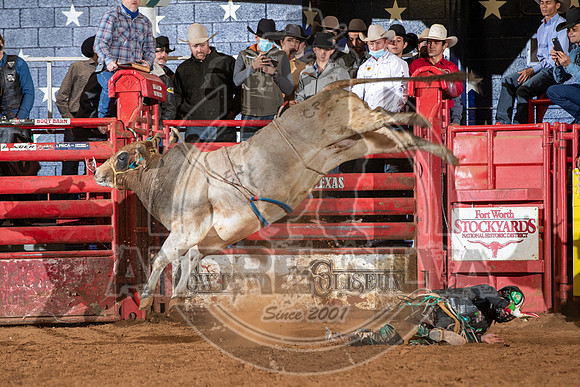 2021_Jan_02_ABBI_544