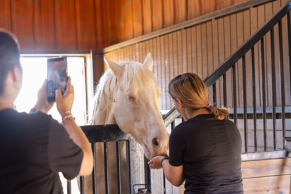 2025_Nov_15_246