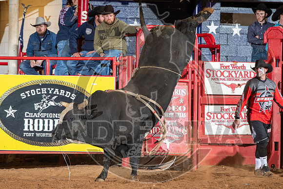 2021_Jan_02_ABBI_531