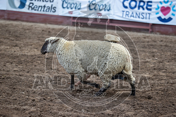 24_July_25_Eagle_CO_025