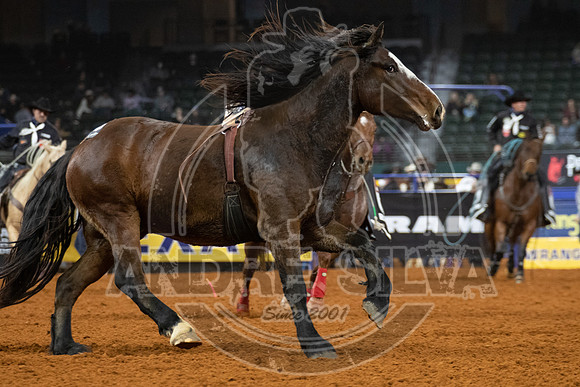 2020_Dez_09_WNFR_Bareback_Tim OConnell_129