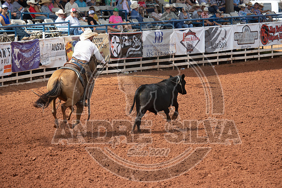 2024_July_06_Ranch_Horse_Competition_3781
