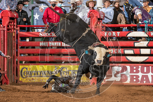 2021_Jan_02_ABBI_438