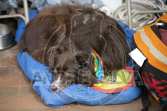 2021_Dec_10_UBF_Fort_Worth_016
