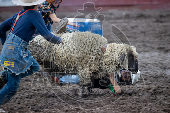 2024 Eagle_Mutton busting_2452-AndreSilva