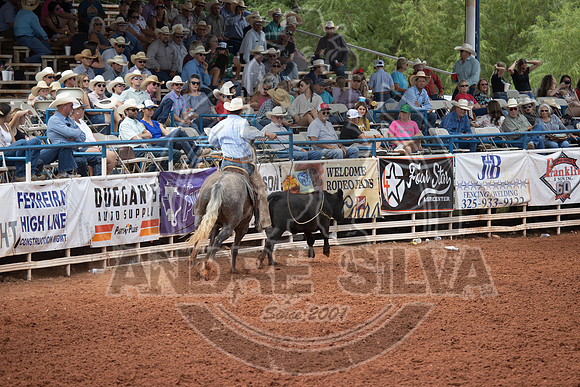 2024_July_06_Ranch_Horse_Competition_3814