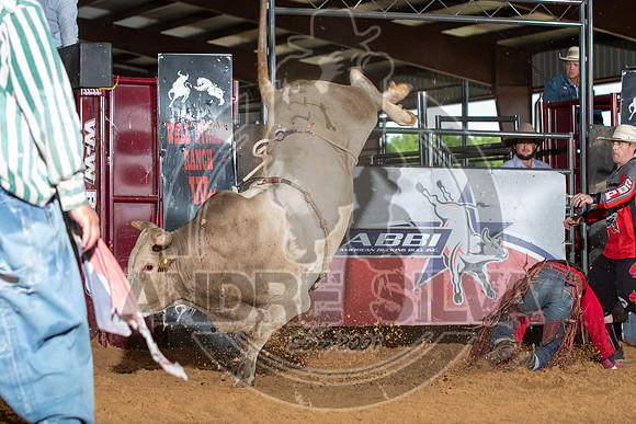 20_May_09_ABBI_228