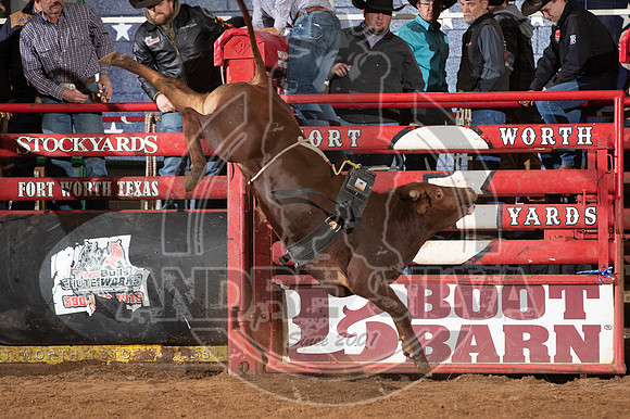2021_Jan_02_ABBI_425