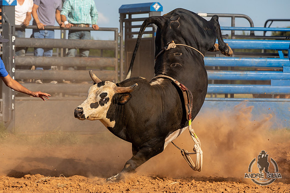 2021_Aug_11_Silvano_Alves_107