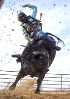 23_Dec_12_Pacheco_062