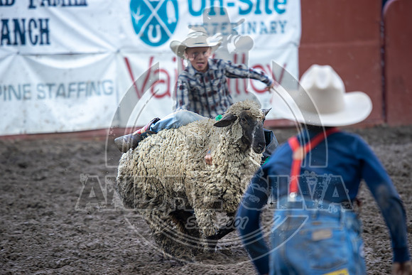 2024 Eagle_Mutton busting_2451-AndreSilva