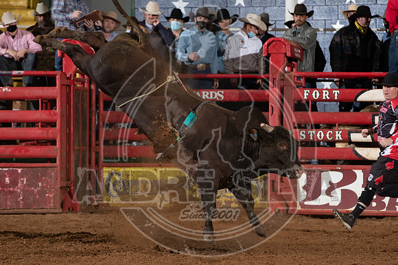 2021_Jan_02_ABBI_377