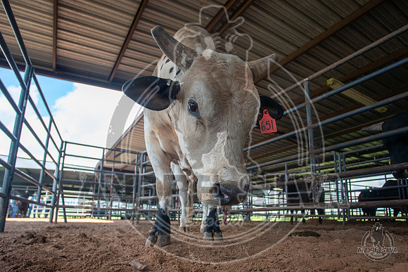 2020_July_18_ABBI_035