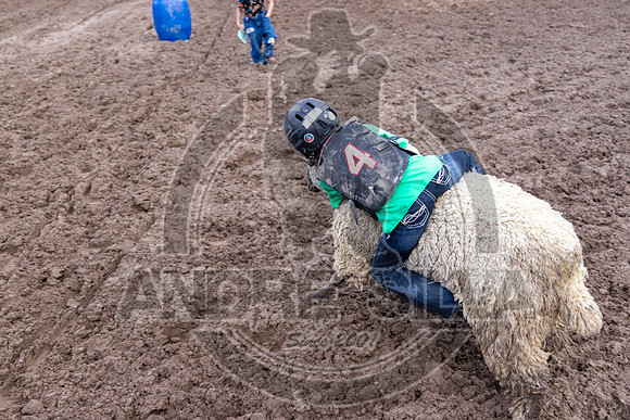 2024 Eagle_Mutton busting_2467-AndreSilva