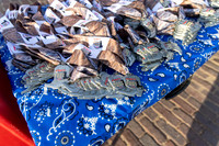 Media Ariat Boot Trot 023