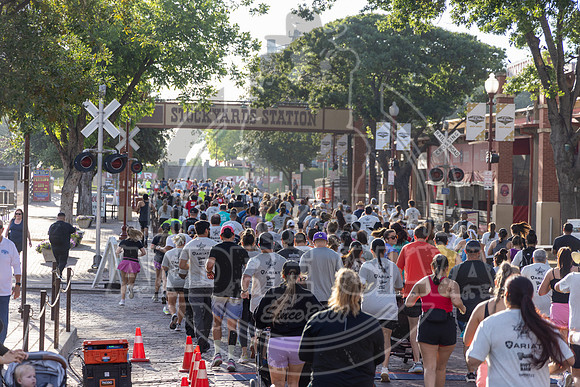 Media Ariat Boot Trot 029