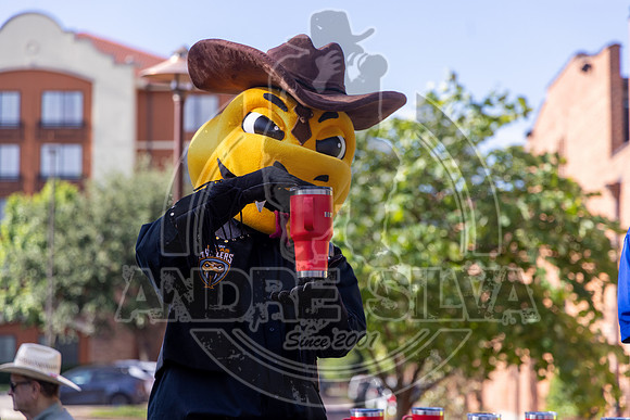 Media Ariat Boot Trot 039