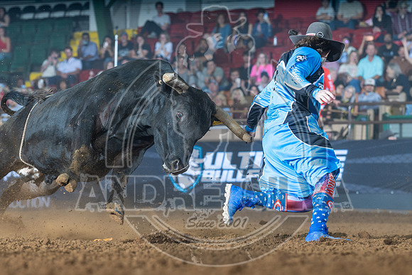 Media Ariat Boot Trot 059