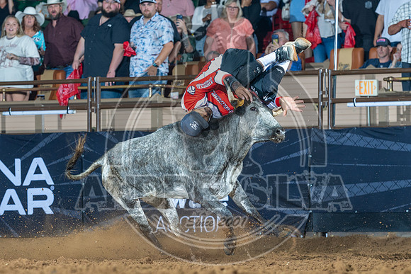 Media Ariat Boot Trot 062