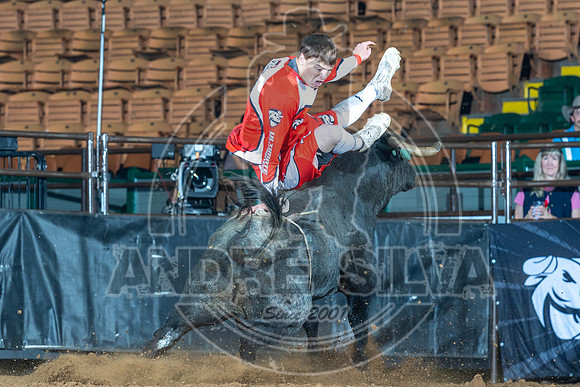 Media Ariat Boot Trot 064